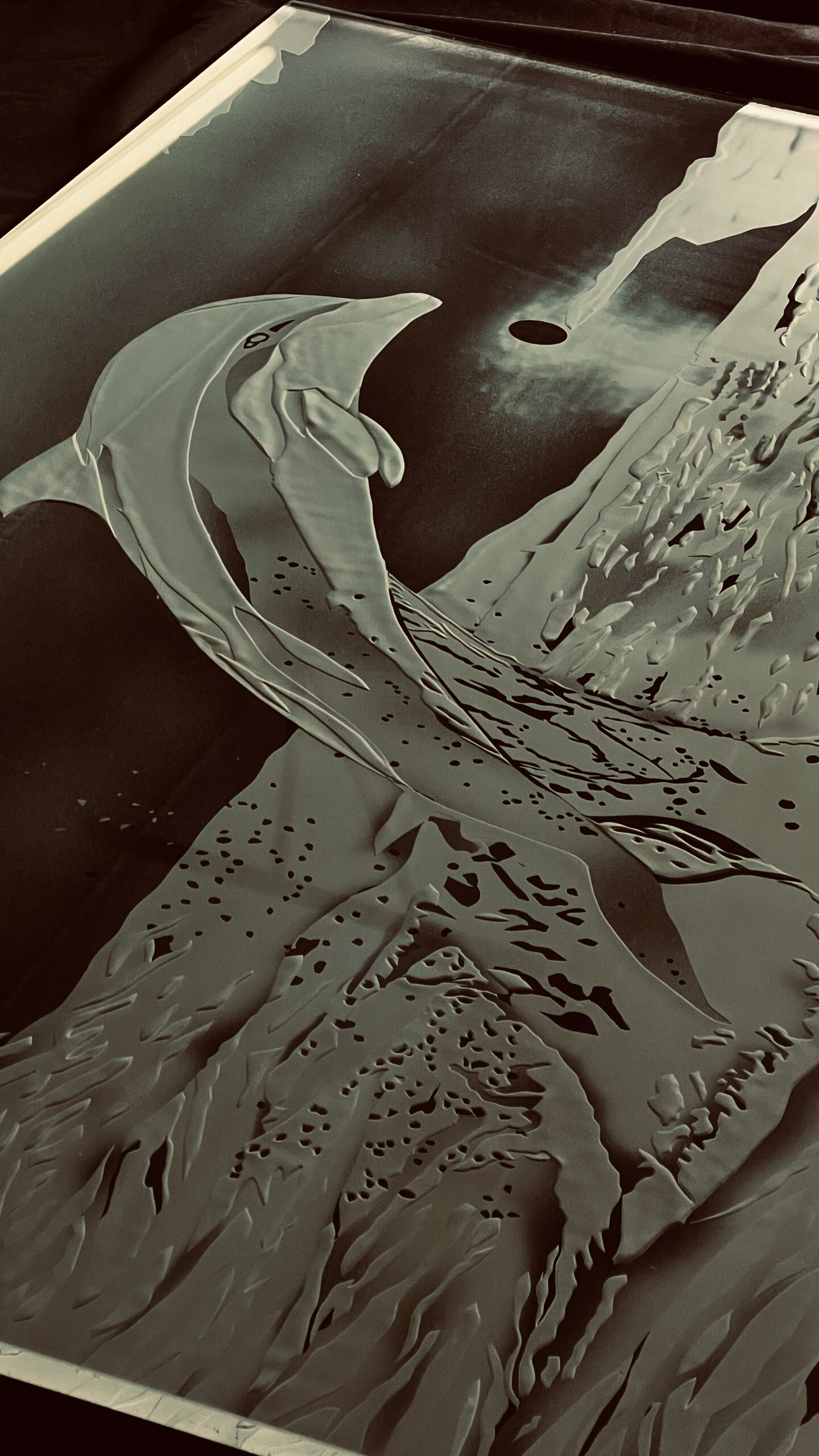 Dolphin sunset reference image from client