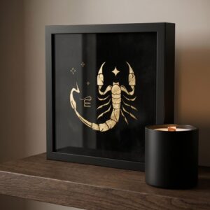 Unique Scorpio Birthday Gift